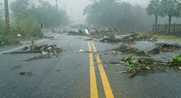 Hurricane damaged road
